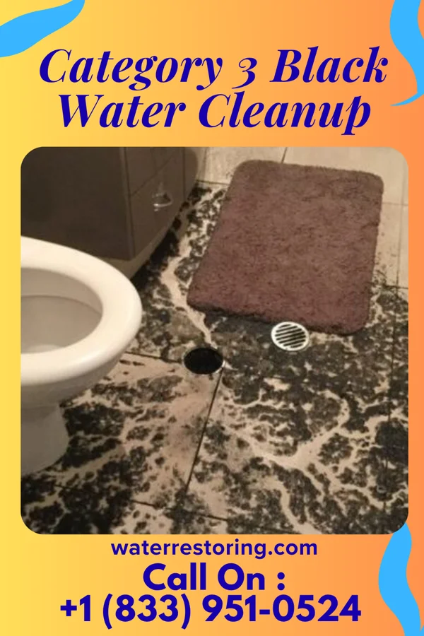 Category 3 Black Water Cleanup in Pierson, IA