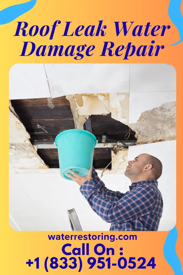 Roof Leak Water Damage Repair in Pierson, IA